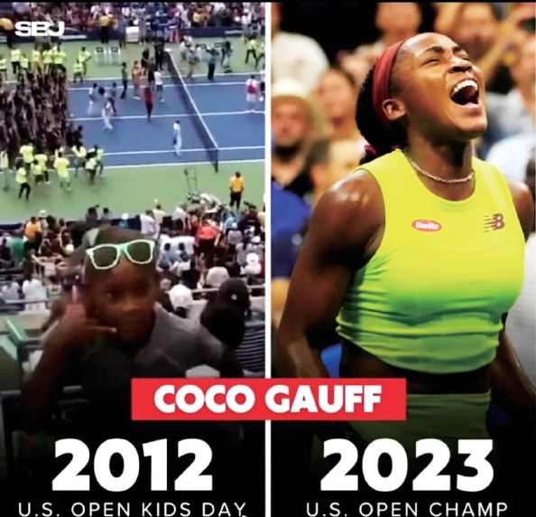 这一案例不 这一案例不